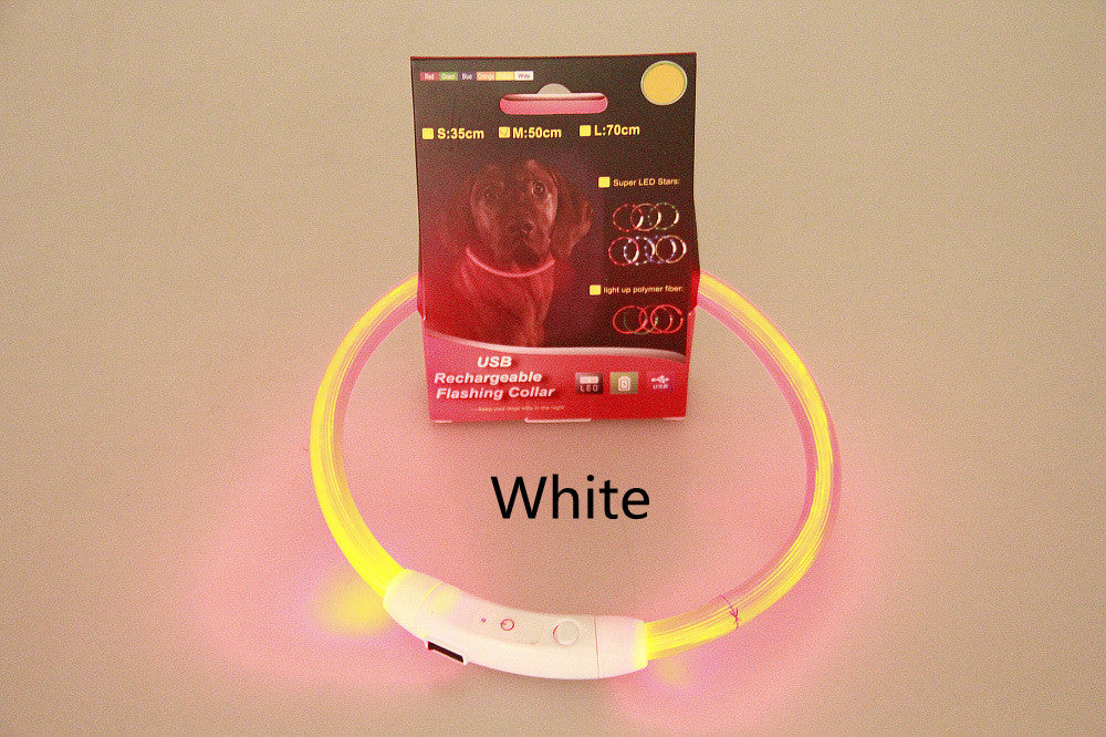 Dog Collar LED Glowing Light-Up USB Rechargeable Night Band - Detail Angle 6 | Majestic Pet Kingdom