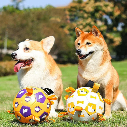 Interactive Training Soccer Ball Toy for Dogs