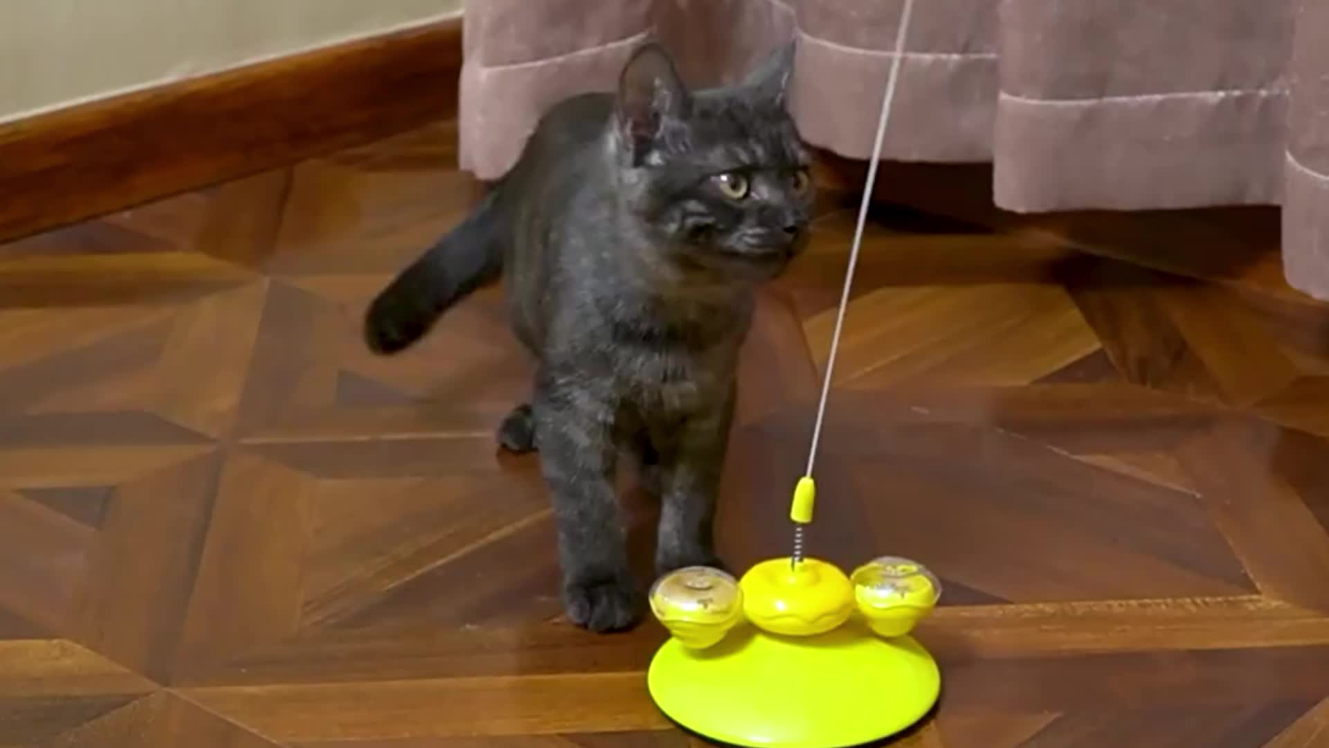 Cat Stick Cat Toy Ball - Majestic Pet Kingdom