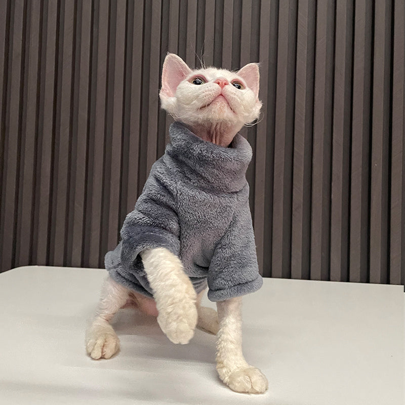 Fashion Personality Ren Fa Cai Hairless Cat Clothes - Majestic Pet Kingdom
