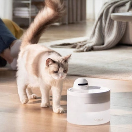 Smart Wireless Pet Water Dispenser With 24-Hour Water Quality Monitoring For Cats And Dogs - Majestic Pet Kingdom