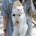 Cat Bag Go Out Portable Backpack Carry Pet Shoulders - Majestic Pet Kingdom