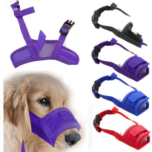 Luxury Pet Essentials - Purrfect Pet Kingdom™