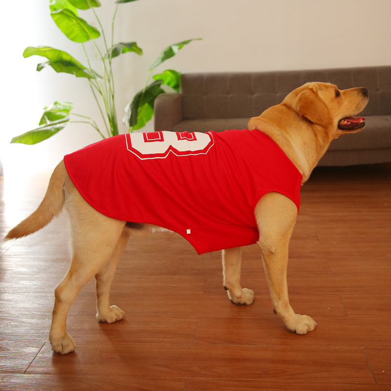 Premium Pet Product Premium Quality Product Essential Q