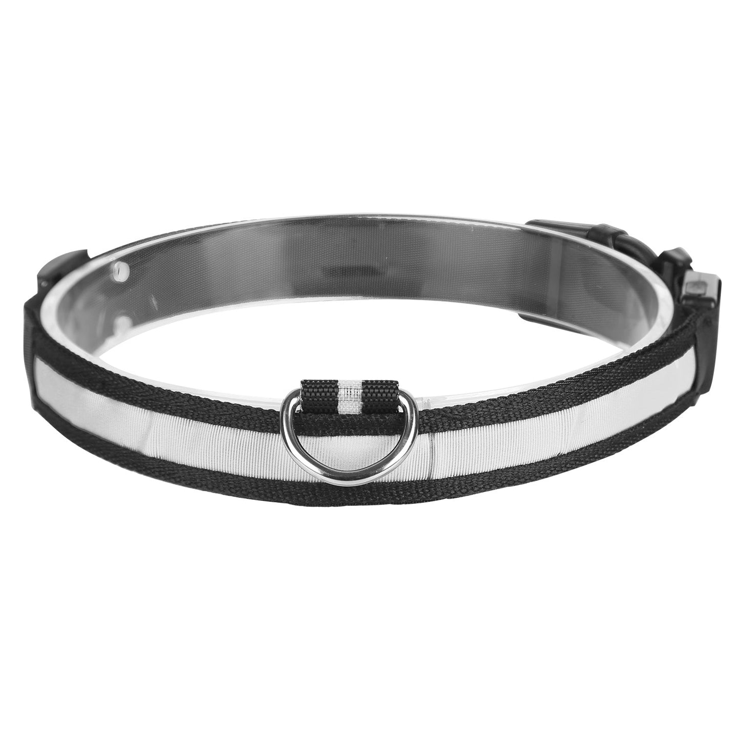 GBruno LED Dog Collar USB | Purrfect Pet Kingdom