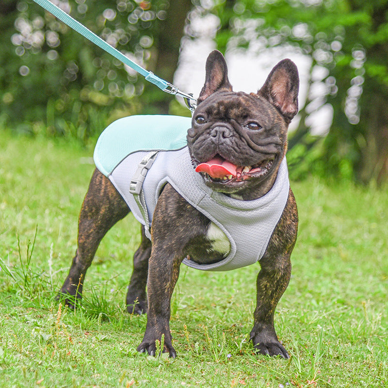 Summer Pet Outdoor Breathable Cooling Vest - Majestic Pet Kingdom