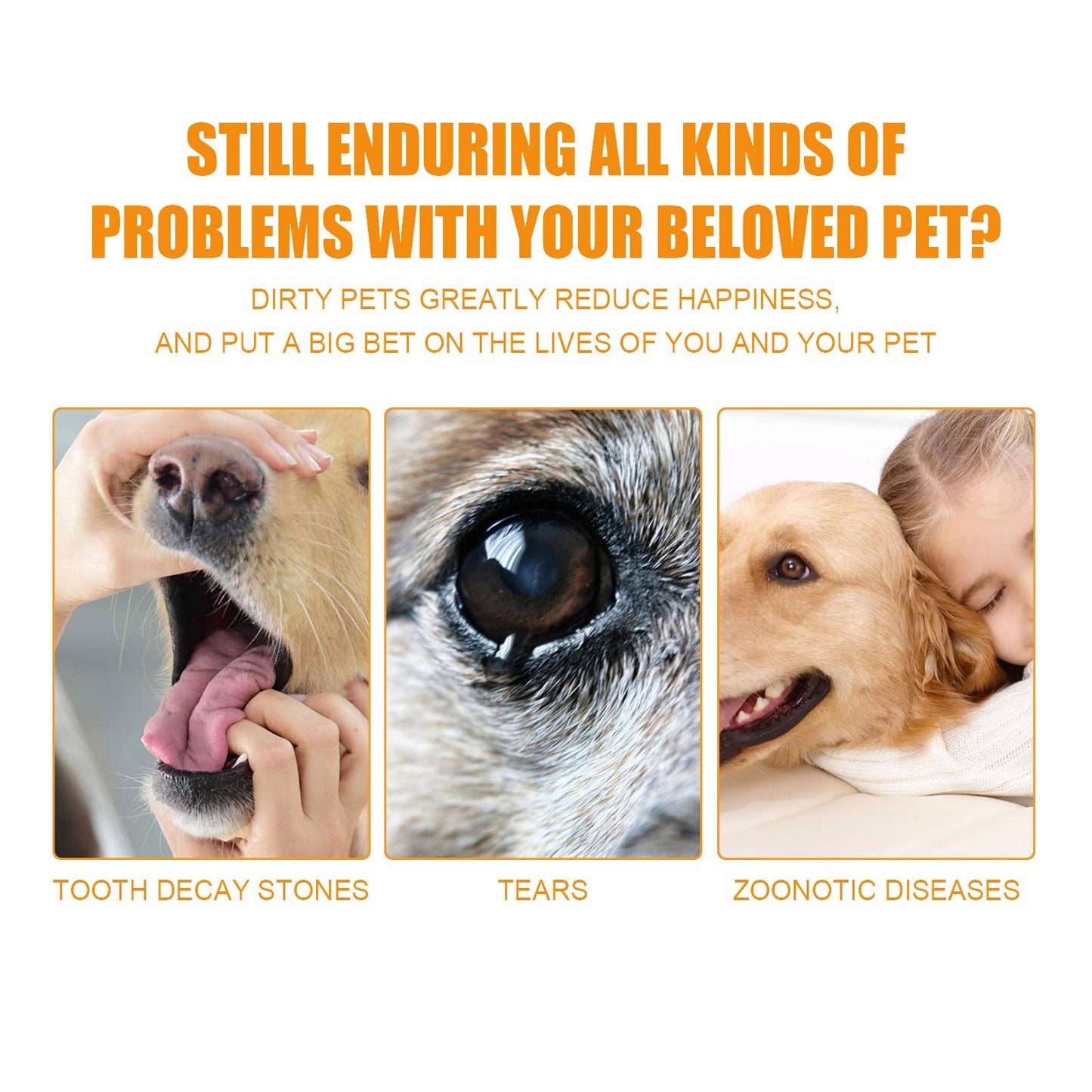Pet Teeth Cleaning, Dog Cat Teeth Clean Tartar Stones Fresh Breath | Purrfect Pet Kingdom