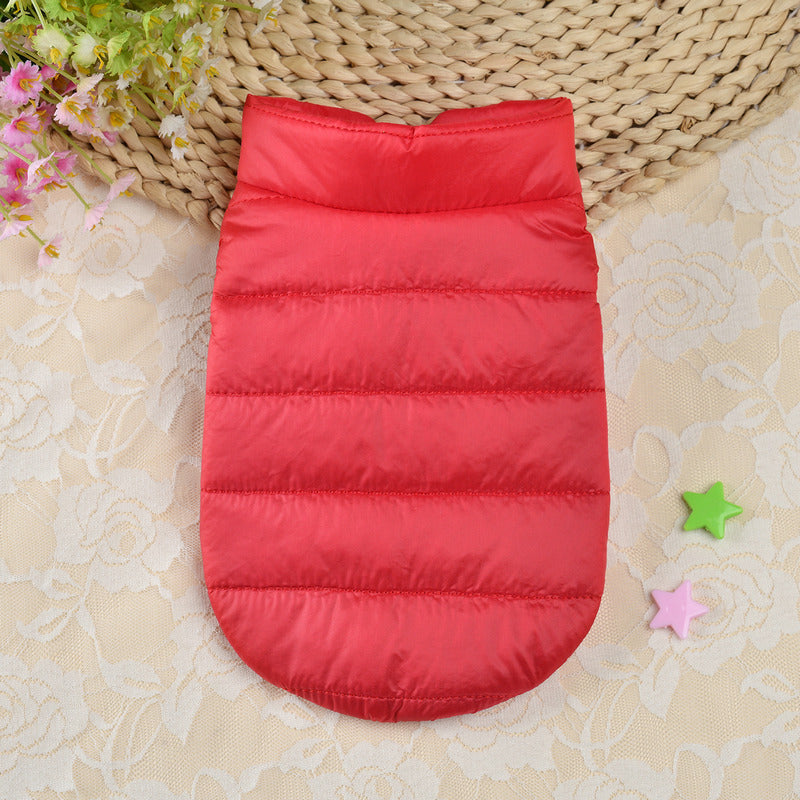 Small Dog Teddy Autumn Autumn Winter Cat Thermal Padded Coat - Majestic Pet Kingdom