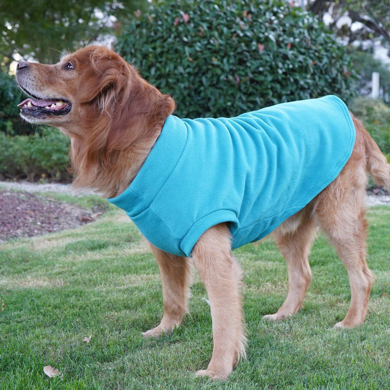 Large Dog Winter Coat: Warm Pet Apparel