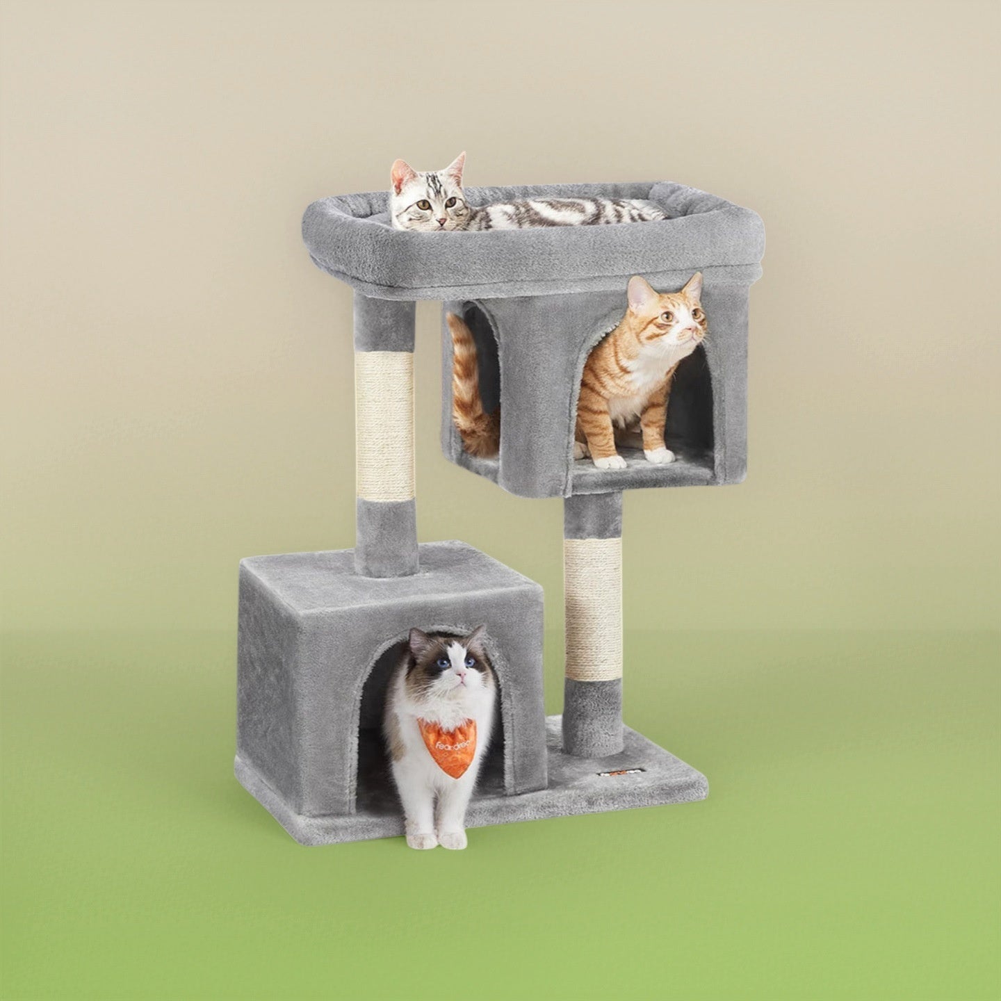Large Cat Tree All-in-one High-rise Design For Big Cats | Purrfect Pet Kingdom