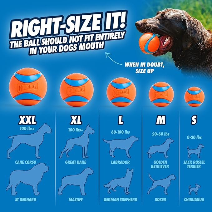 Dog Ball Toy Chuckit Ultra Ball High Bounce Rubber Fetch Med