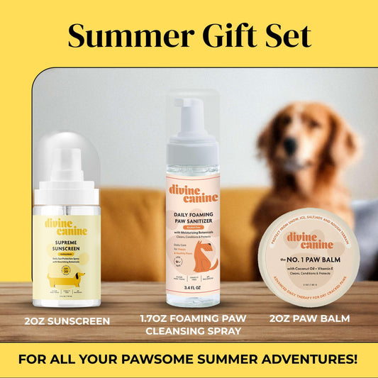 Divine Canine Summer Essentials Dog Care Kit Sunscreen Paw Balm - Detail Angle 2 | Majestic Pet Kingdom