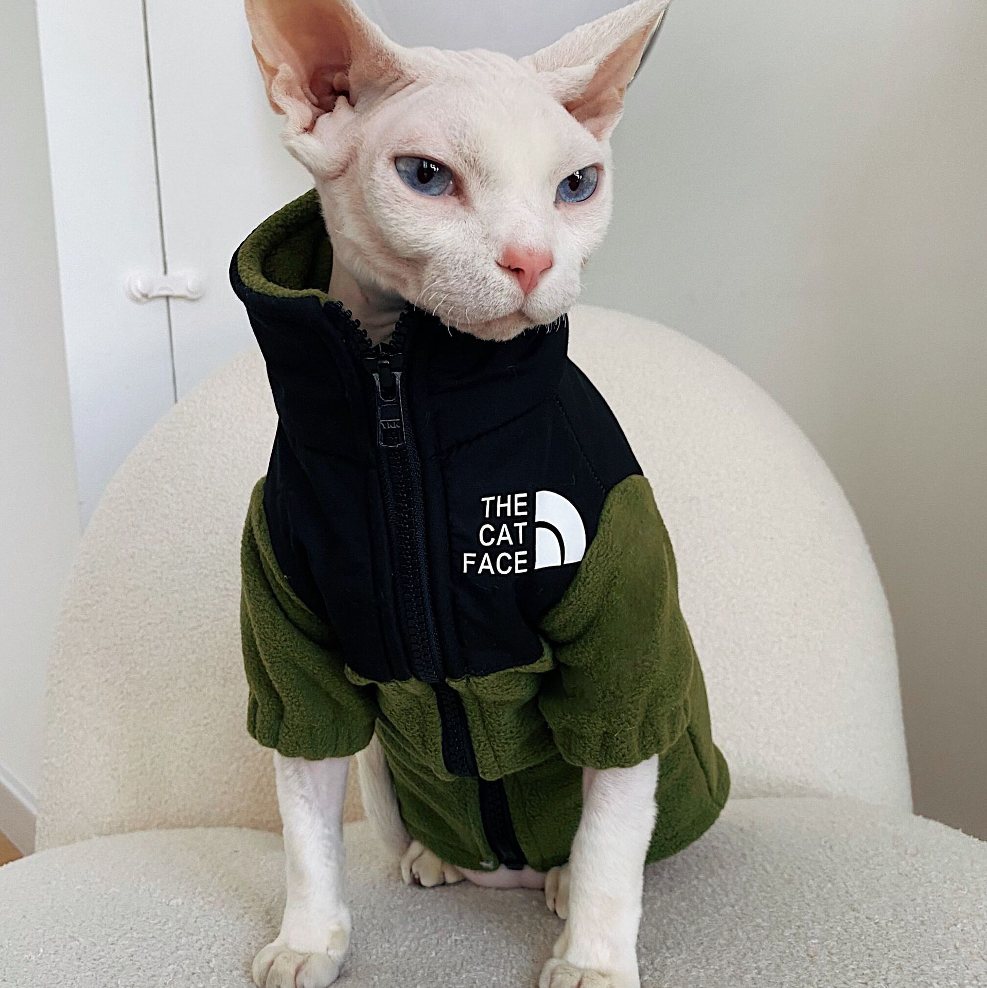 Hairless Cat Clothes Warm Pet Cat Clothes - Majestic Pet Kingdom