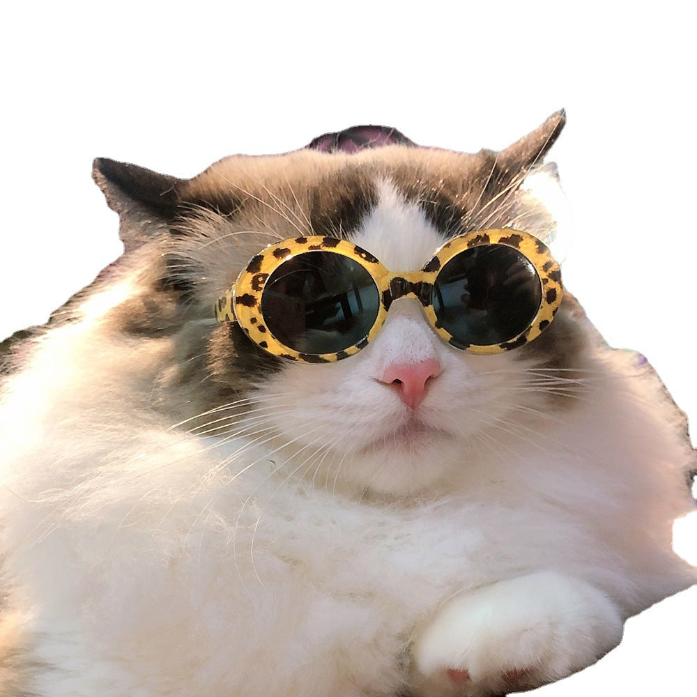 Luxury Pet Essentials - Purrfect Pet Kingdom™