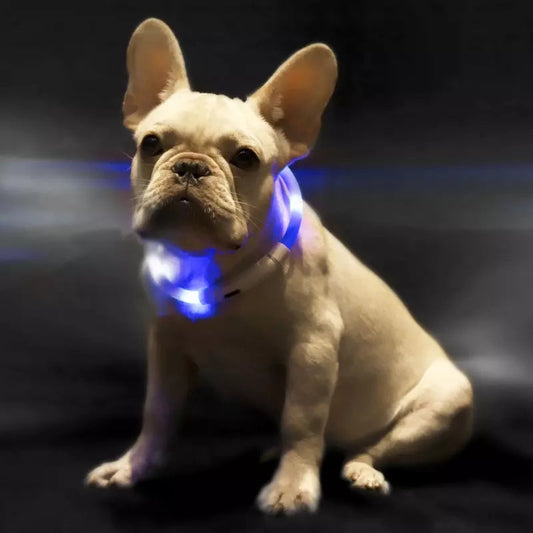 Dog Collar LED Glowing Light-Up Night Safety Anti-Lost Strap