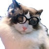 Luxury Pet Essentials - Purrfect Pet Kingdom™