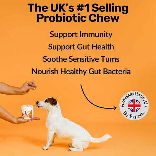 Dog Probiotics Prebiotic Gut Health Digestive Soft Chews 120ct