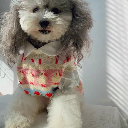 Universal Cute Warm Sweater For Pets