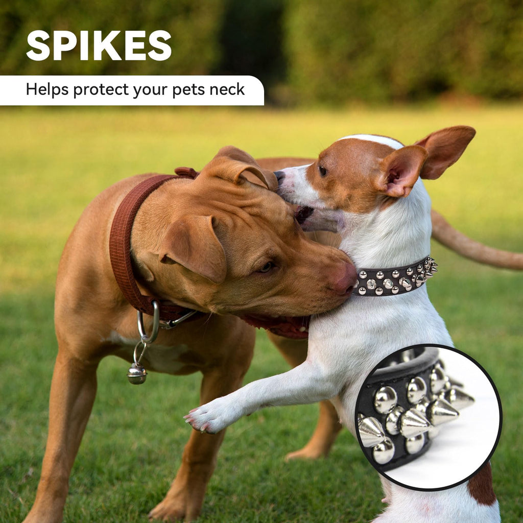 Small Spiked Black Dog Cat Collar For Small Medium Dogs Boy Male - Adjustable Studded Puppy Collars - Soft Padded Punk Leather Dog Collar For Chihuahua French Bulldog Pug - Majestic Pet Kingdom