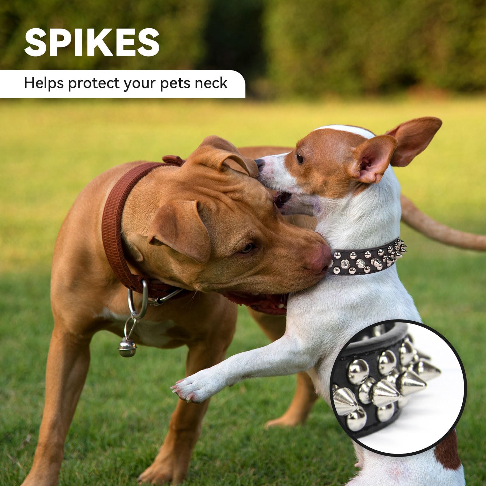 Small Spiked Black Dog Cat Collar For Small Medium Dogs Boy Male - Adjustable Studded Puppy Collars - Soft Padded Punk Leather Dog Collar For Chihuahua French Bulldog Pug - Majestic Pet Kingdom