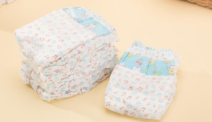 Pet Pee Pads & Leakproof - 10 Pack Disposable  For Pets