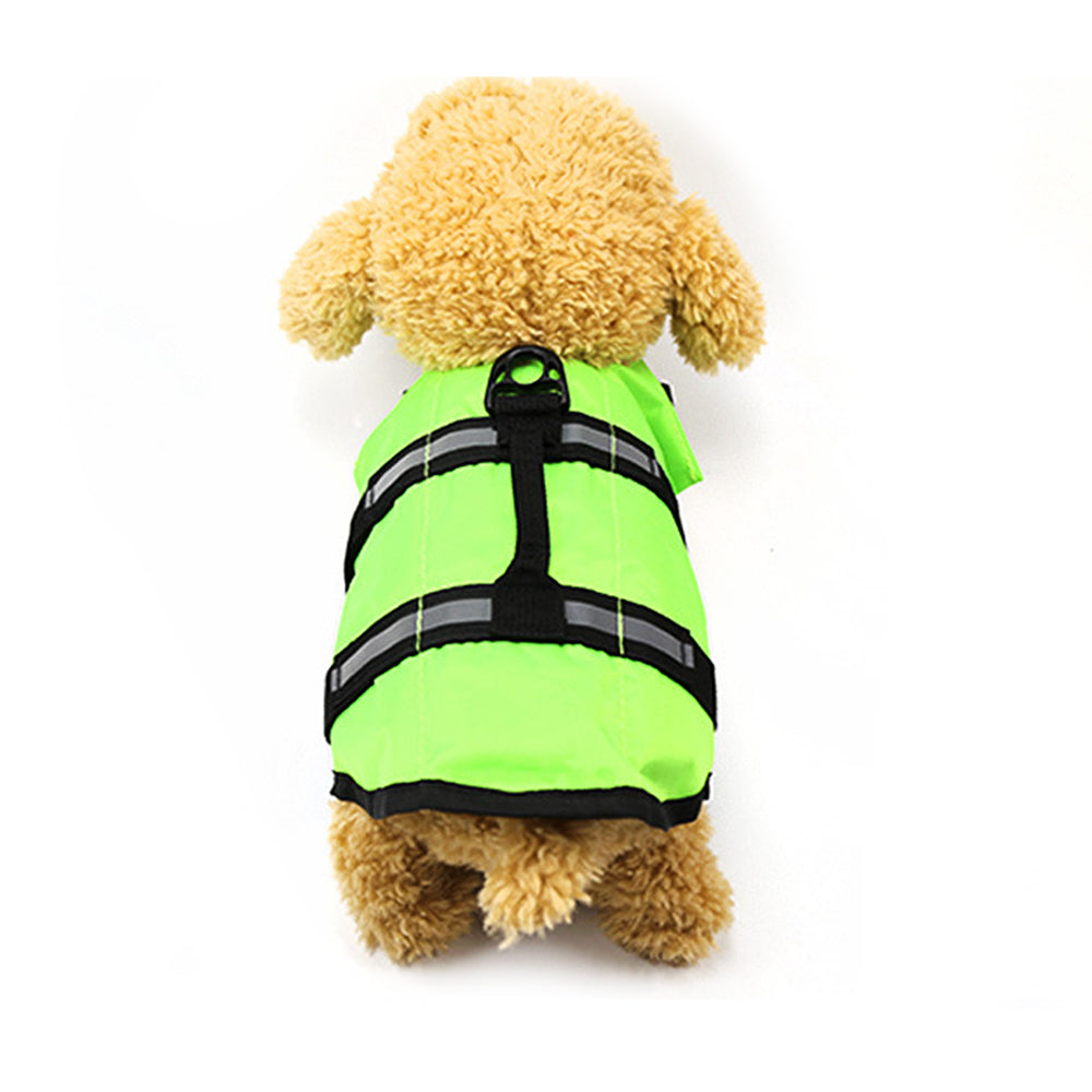 Large and small dogs - Majestic Pet Kingdom