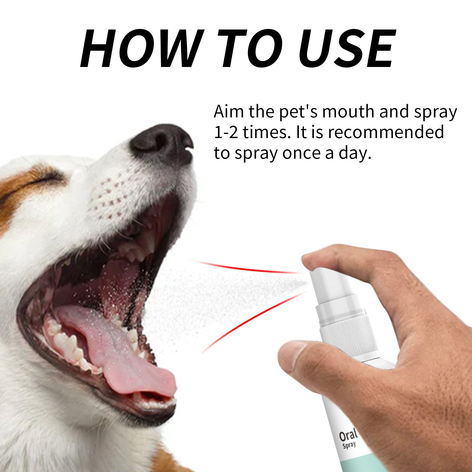 Pet Mint Breath Spray: Dog Fresh Oral Cleaning Spray