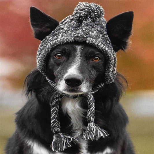 dog-hat-autumn-winter-warm-woolen-knitted-beanie-headwear-luxury-view-1 | Majestic Pet Kingdom