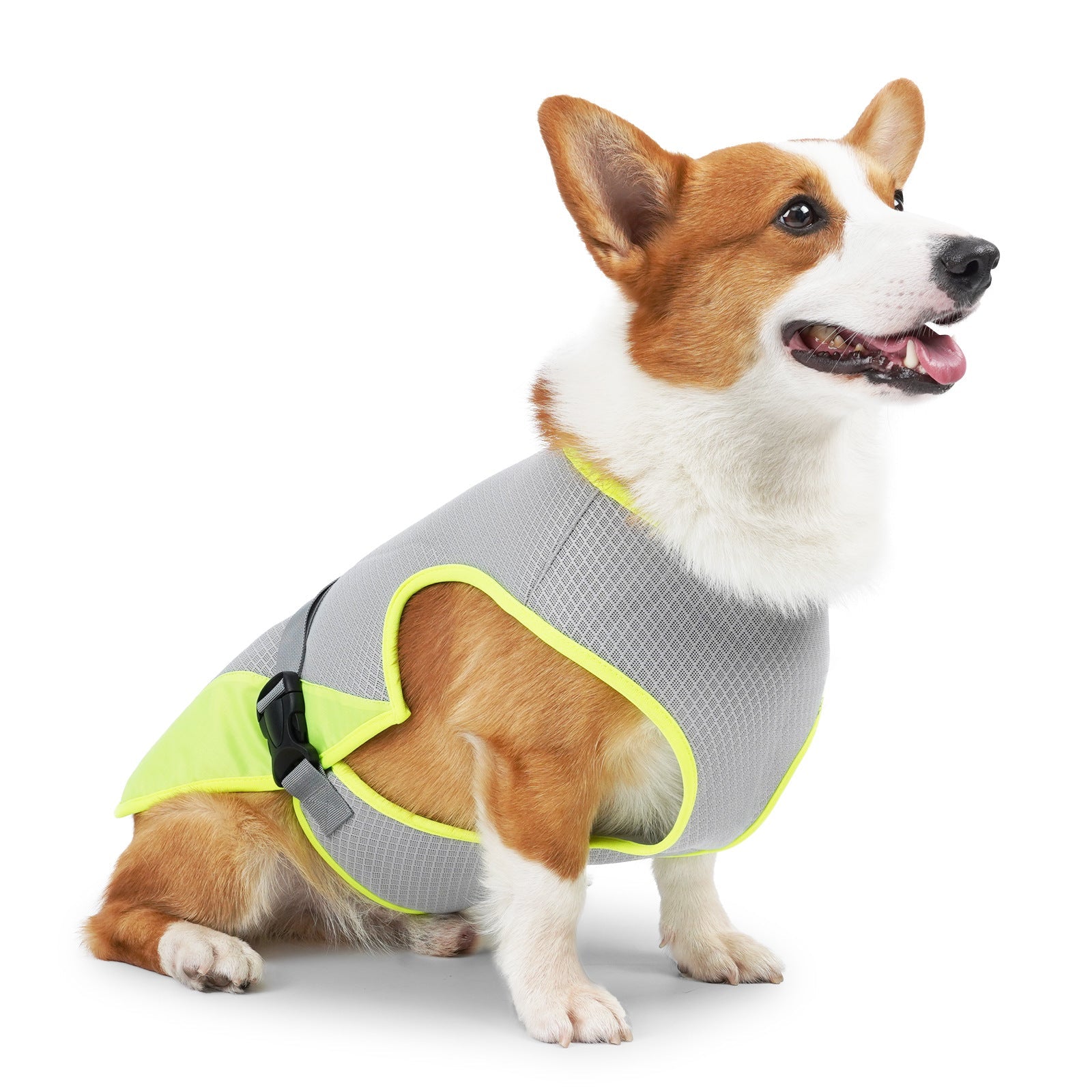 Pet Dog Cooling Summer Vest Apparel Clothing for Hot Heat - Majestic Pet Kingdom