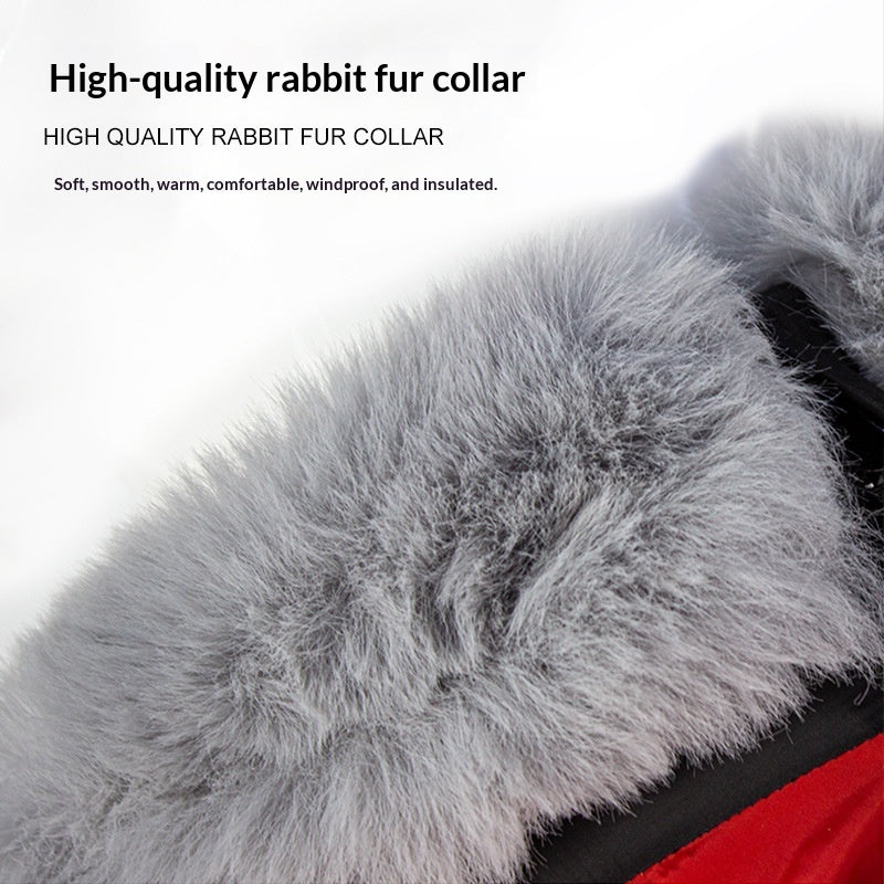 Pet Product - Premium Pet Accessory