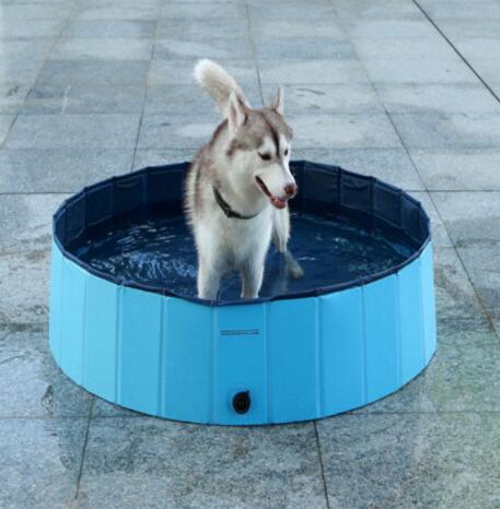 Pet Product - Premium Pet Accessory