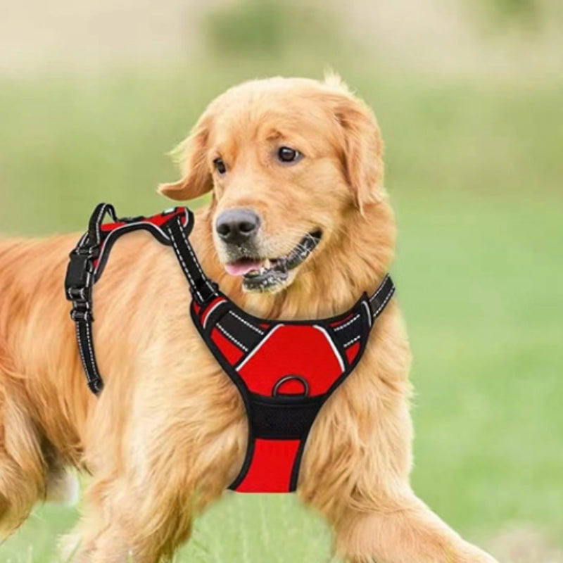 Vest-style Reflective And Breathable Chest-strap Leash - Majestic Pet Kingdom