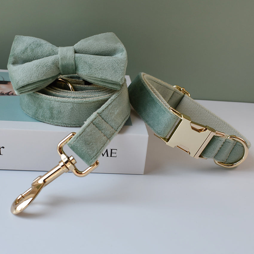 Adjustable Mint Green Dog Collar and Leash Set for Pets