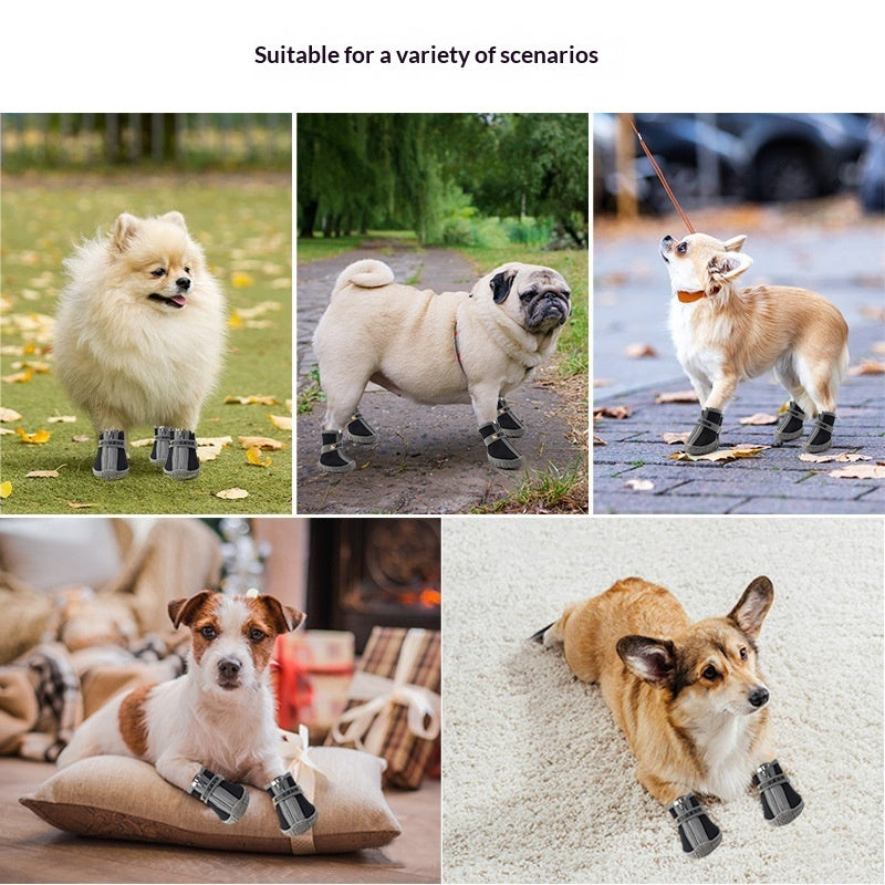 Pet Product - Premium Pet Accessory