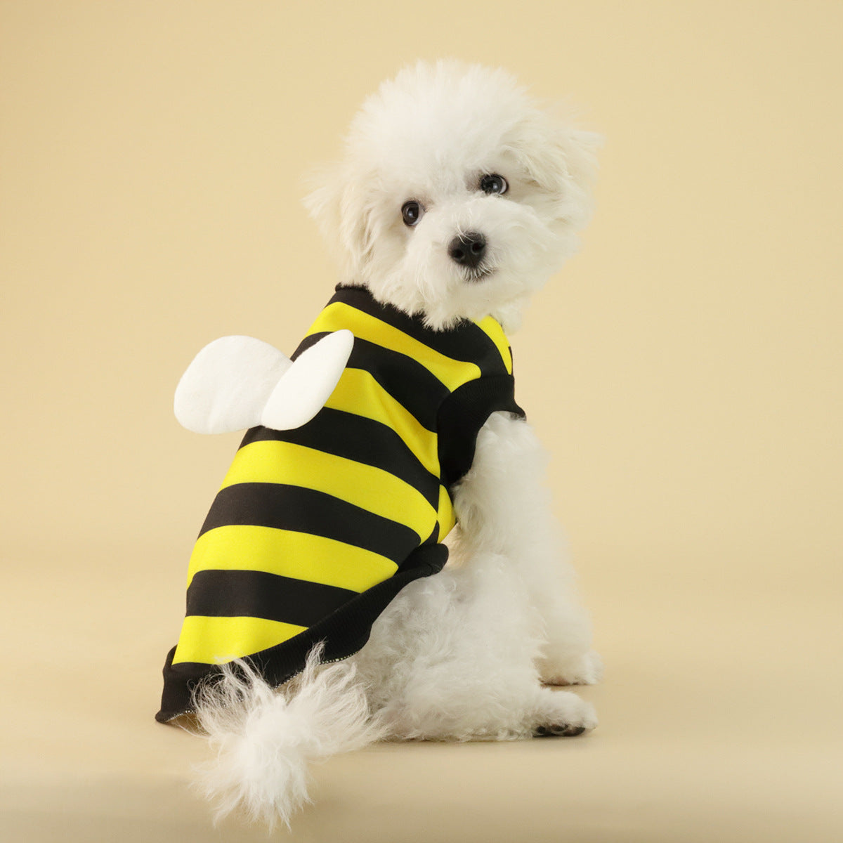 Frog Dog Small Medium Sweater Fleece Clothes Pet Products - Majestic Pet Kingdom