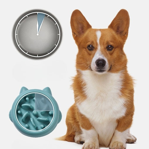 Dog Bowl Slow Feeder Anti-Choking Maze Healthy Eating Plate - Detail Angle 3 | Majestic Pet Kingdom