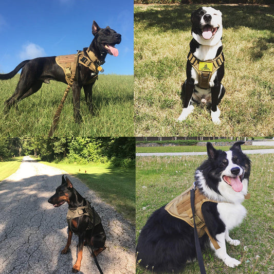 Dog Harness Tactical Military Adjustable Walking Vest Shepherds