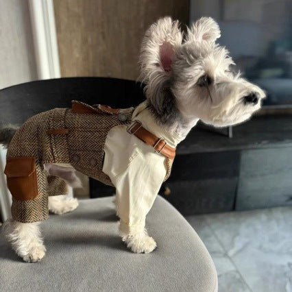 Pet Product - Premium Pet Accessory