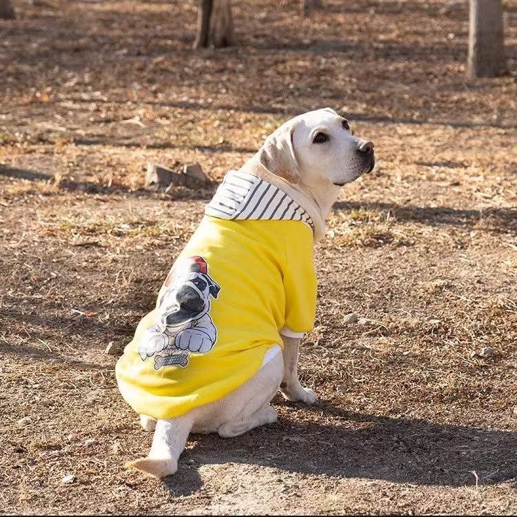 Pet Product - Premium Pet Accessory