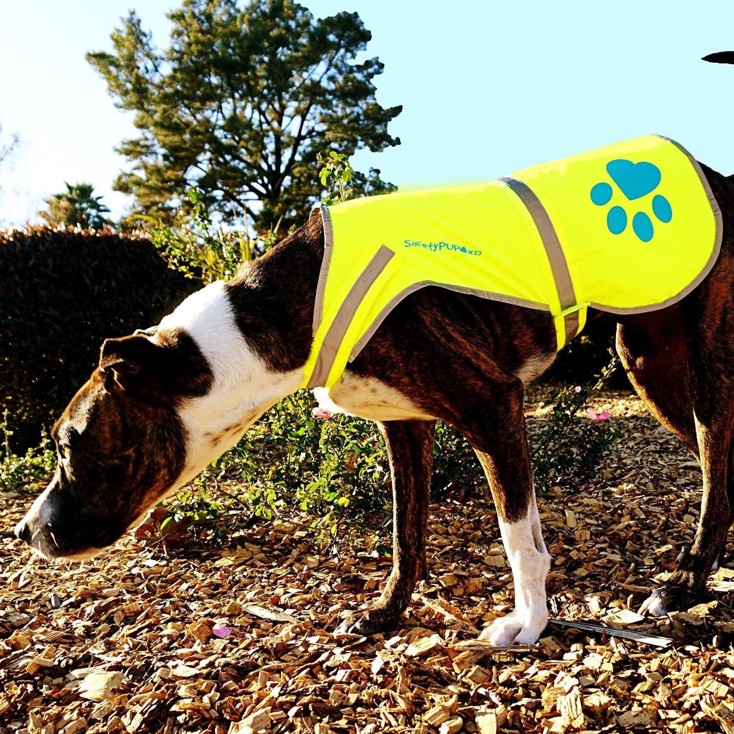 Reflective Dog Vest Hi-Vis L Size Yellow - Majestic Pet Kingdom