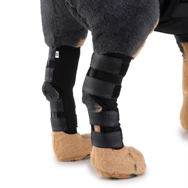 Dog Leg Brace - Majestic Pet Kingdom