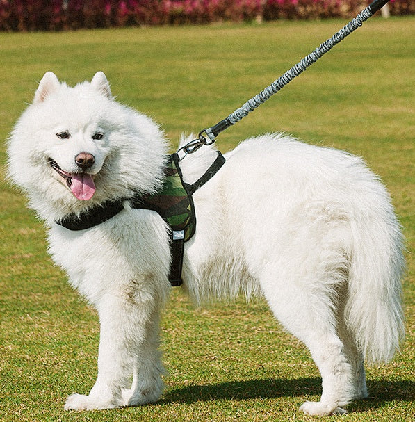 Dog Harness and Leash Set Step-In Breathable Mesh Vest Lead