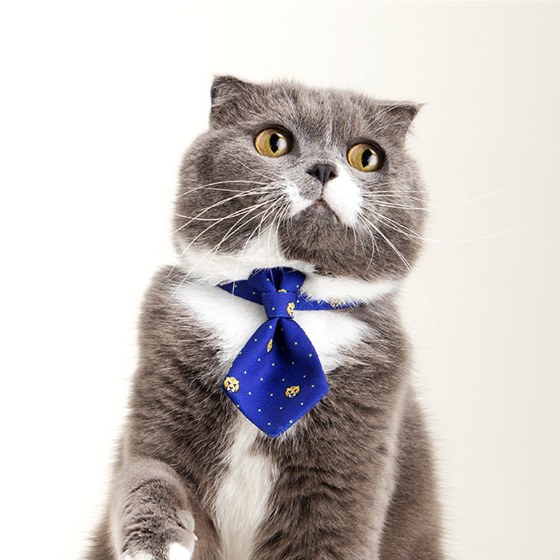 Luxury Pet Essentials - Purrfect Pet Kingdom™
