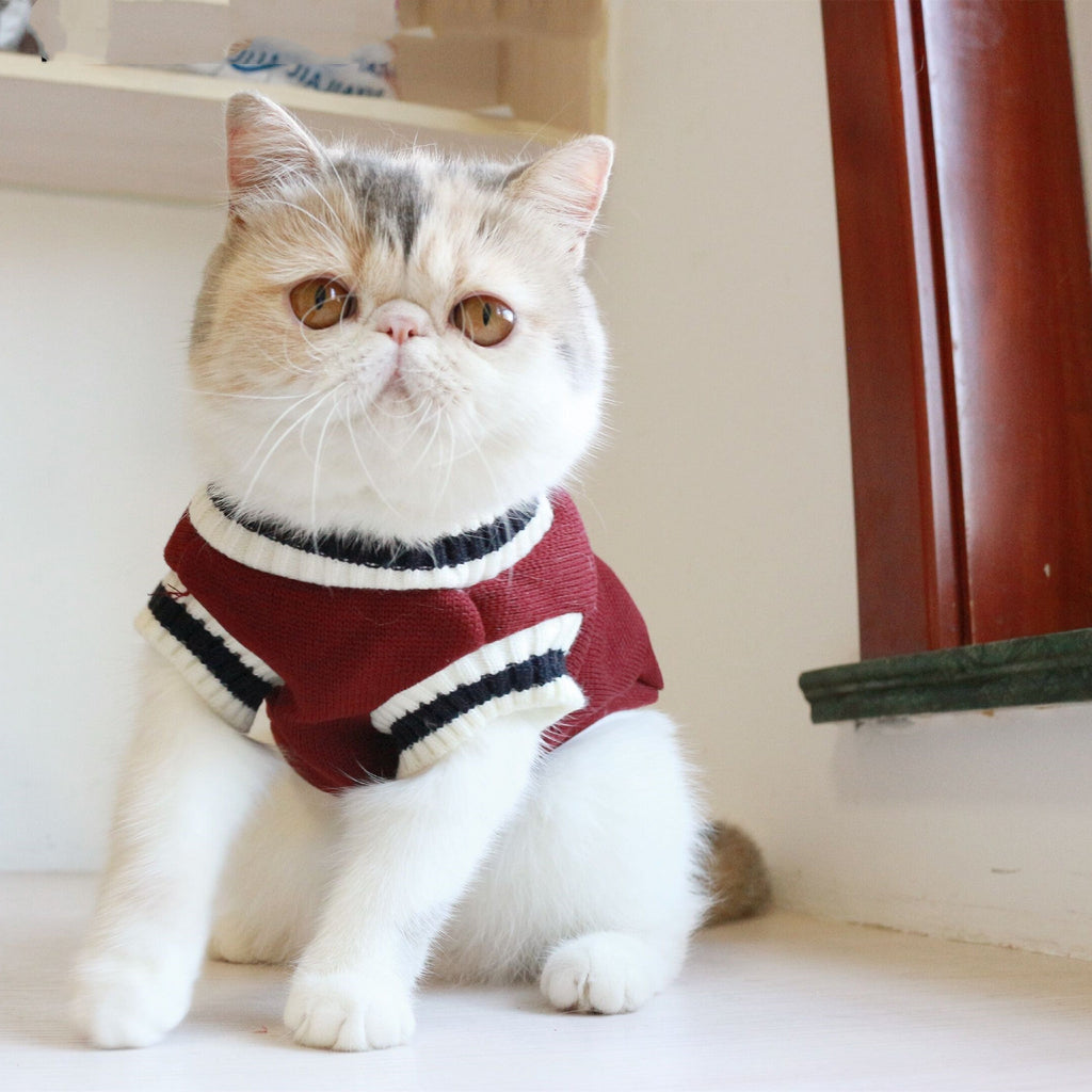 American College Style Fleece Cat Knit Sweater Sleeveless Vest - Majestic Pet Kingdom