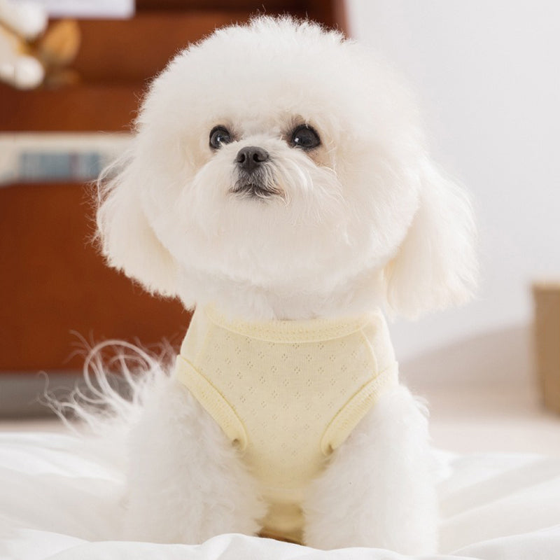 Pet Product - Premium Pet Accessory