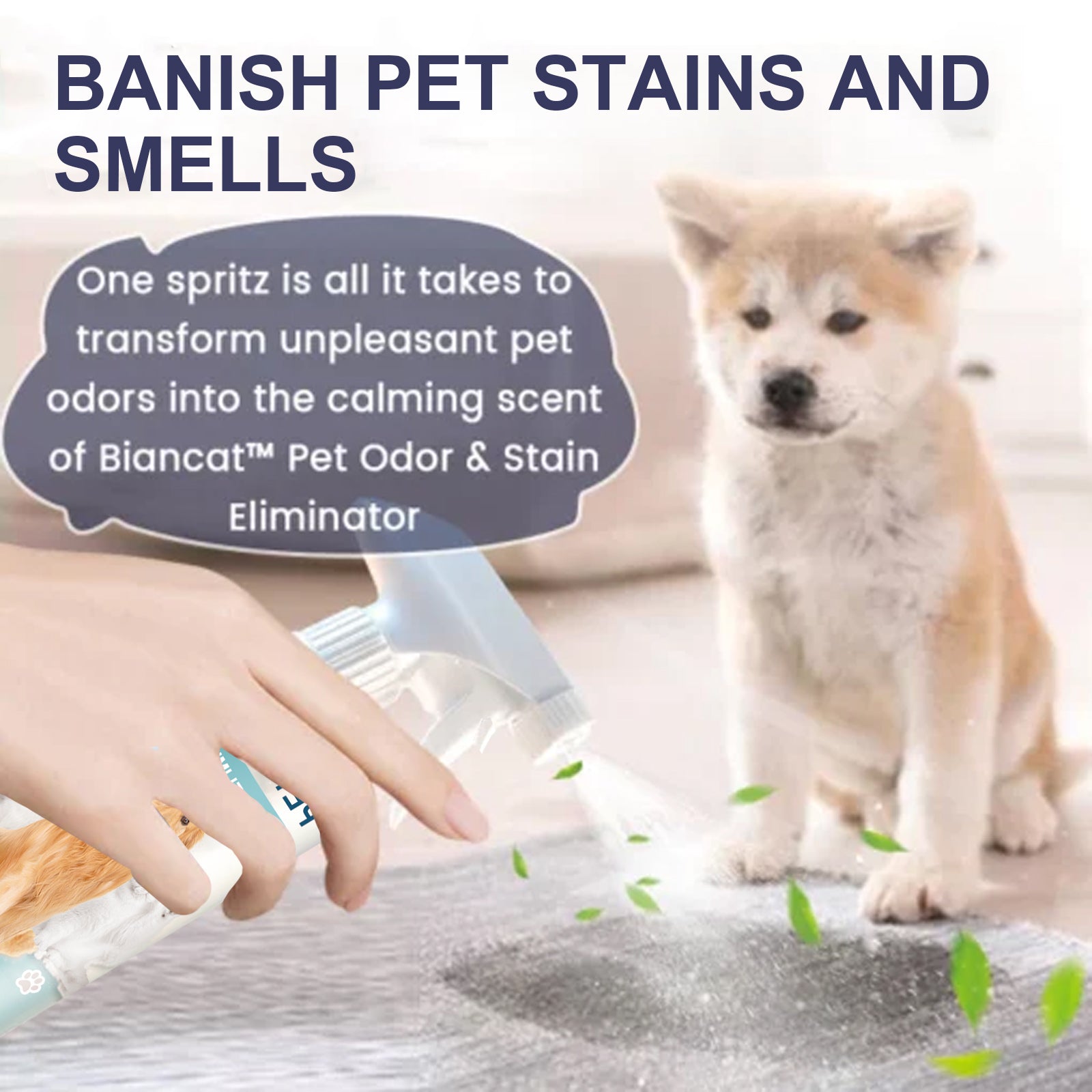 Pet Odor & Stain Eliminator, Clean Dog And Cat Body Odor Feces Odor Removal Indoor Fresh Deodorizer - Majestic Pet Kingdom
