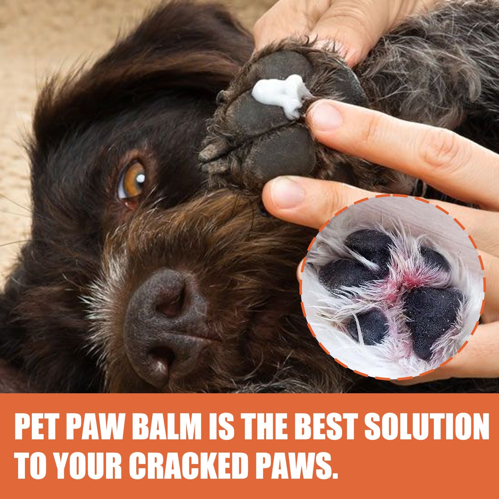 Pet Foot Care Cream For Animals, Cats, Dogs And Paws Foot Care Cream For Soles And Pads | Purrfect Pet Kingdom