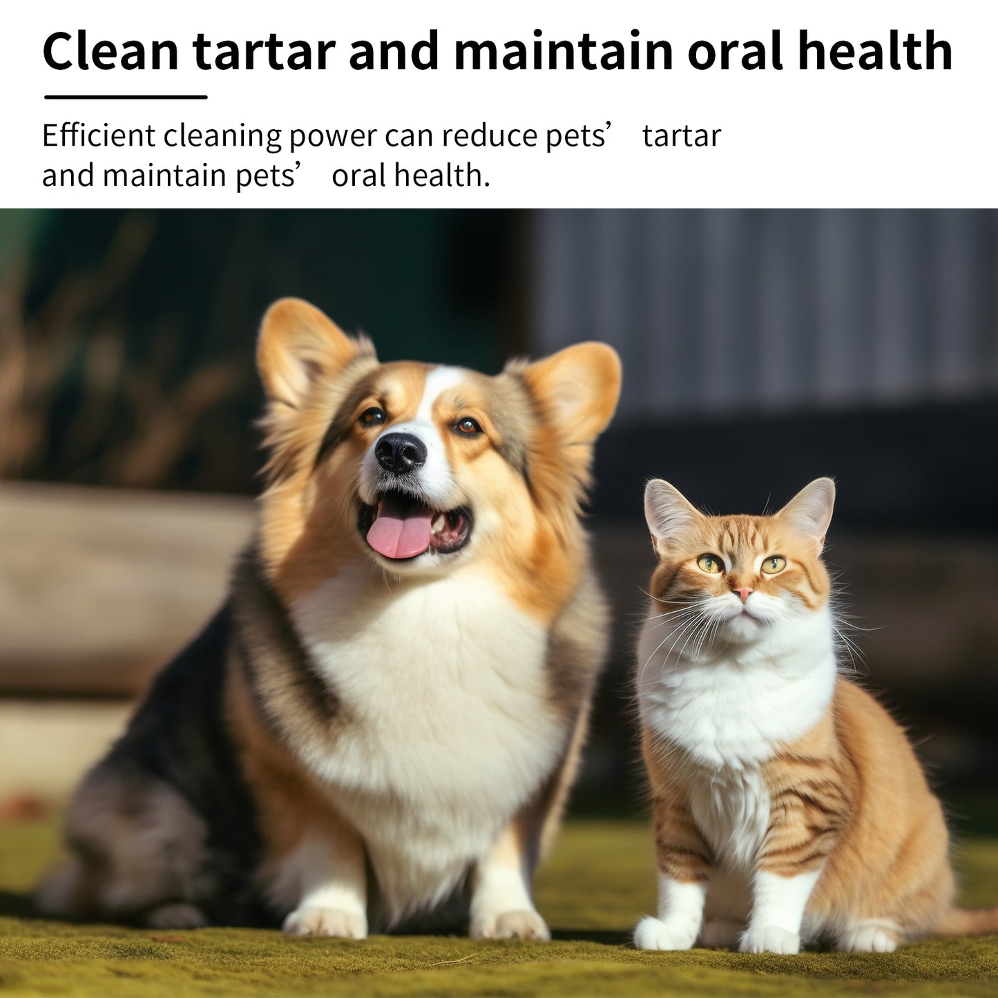 Pet Mint Breath Spray: Dog Fresh Oral Cleaning Spray | Purrfect Pet Kingdom