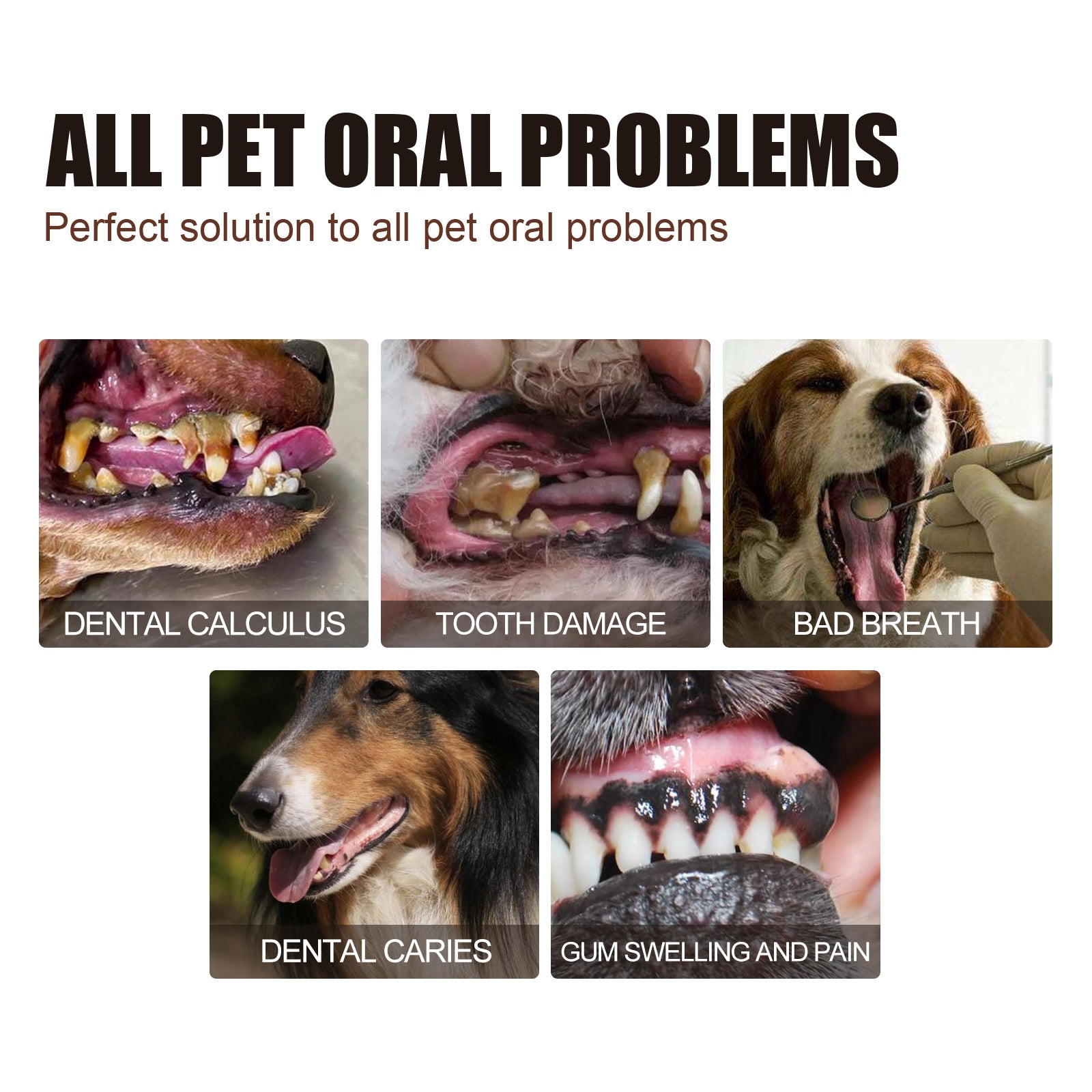 Pet Tartar Removal Spray: Bad Breath & Dental Care Spray
