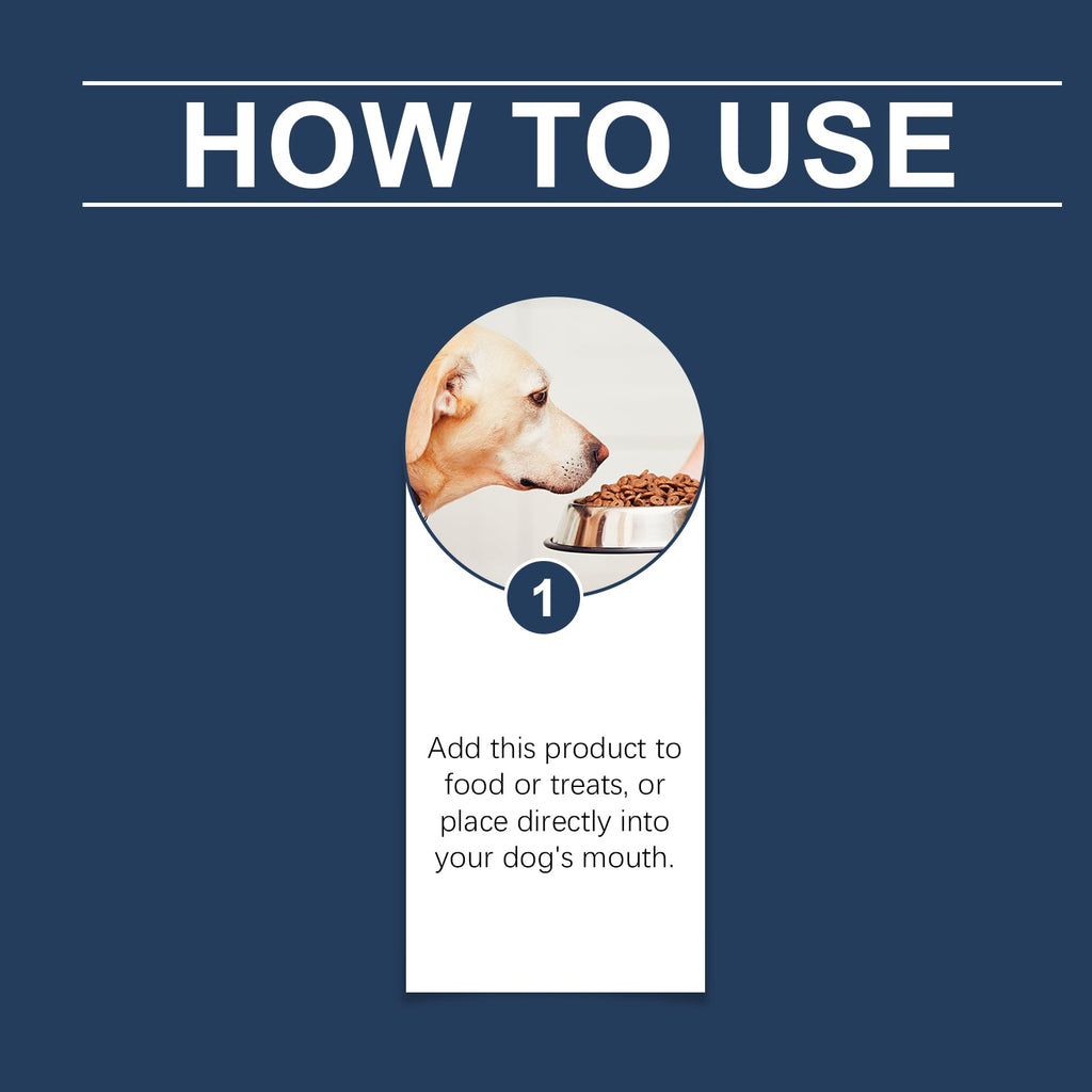 Dog Immune Support Supplement: Daily Health Booster